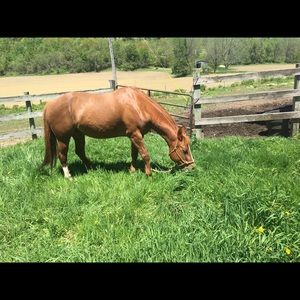 Meet your Posher, Joan